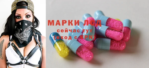 ECSTASY Алзамай