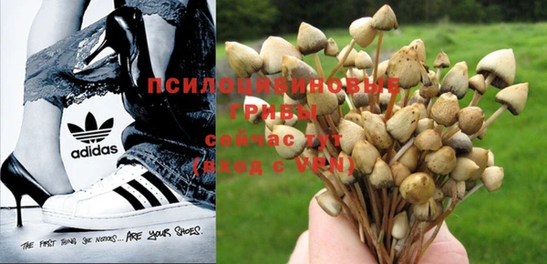 соль курить ск Алексин