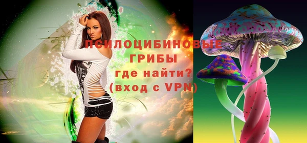 ECSTASY Алзамай